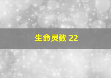 生命灵数 22